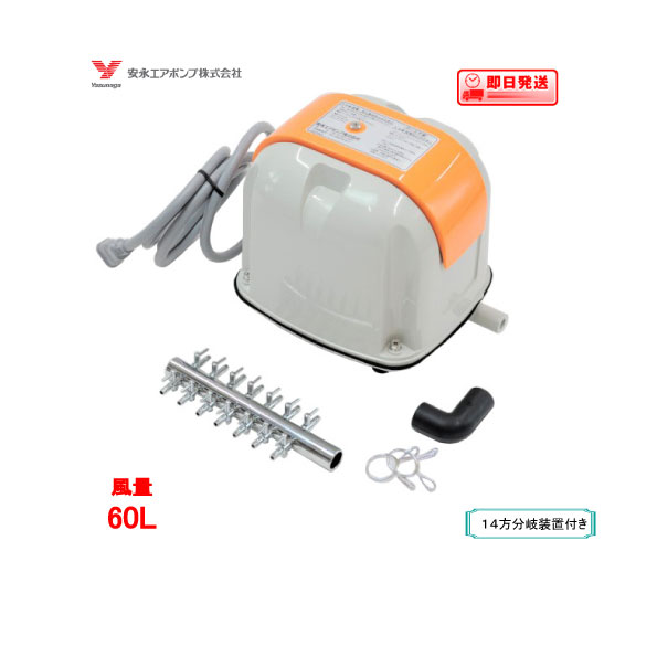 安永エアポンプ AP-60G」の人気商品一覧 | 安い商品を通販サイトから