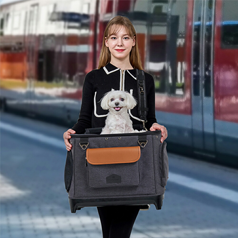 楽天市場】【〜2/10 01:59まで 10％OFF】【ROYAL TAILS】Alice alice