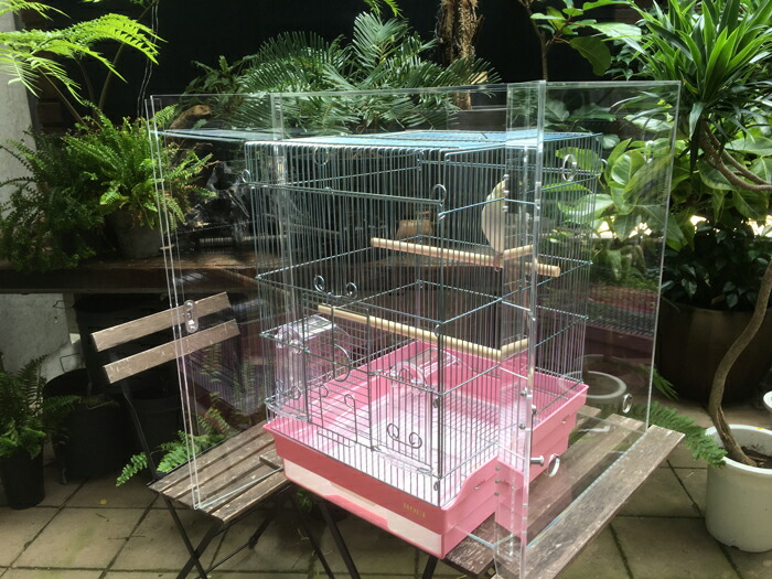 楽天市場】【プレミアム】W545×H650×D545 アクリル バードケージ