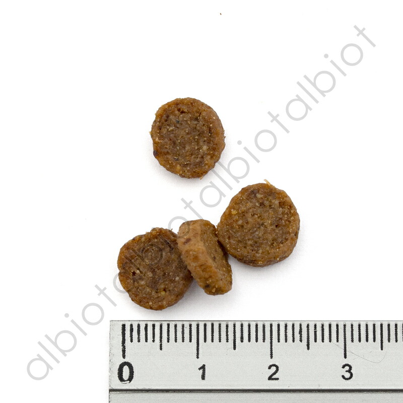 楽天市場】ブラックウッド 2000 ドッグフード 犬 ドライフード : albiot