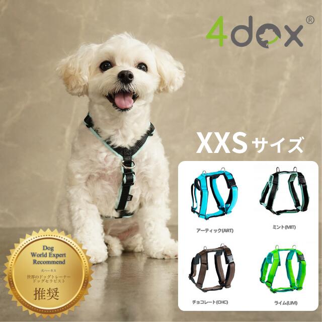 楽天市場】犬用ハーネス 小型犬【4dox コンフォートプラスハーネス XXS