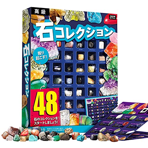 楽天市場】XXTOYS 鉱石標本48種 天然鉱石 宝石おもちゃ 岩石標本