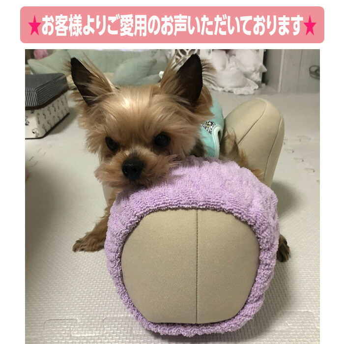 楽天市場】アロン化成 リラクッション DM ブルー 5191976 姿勢