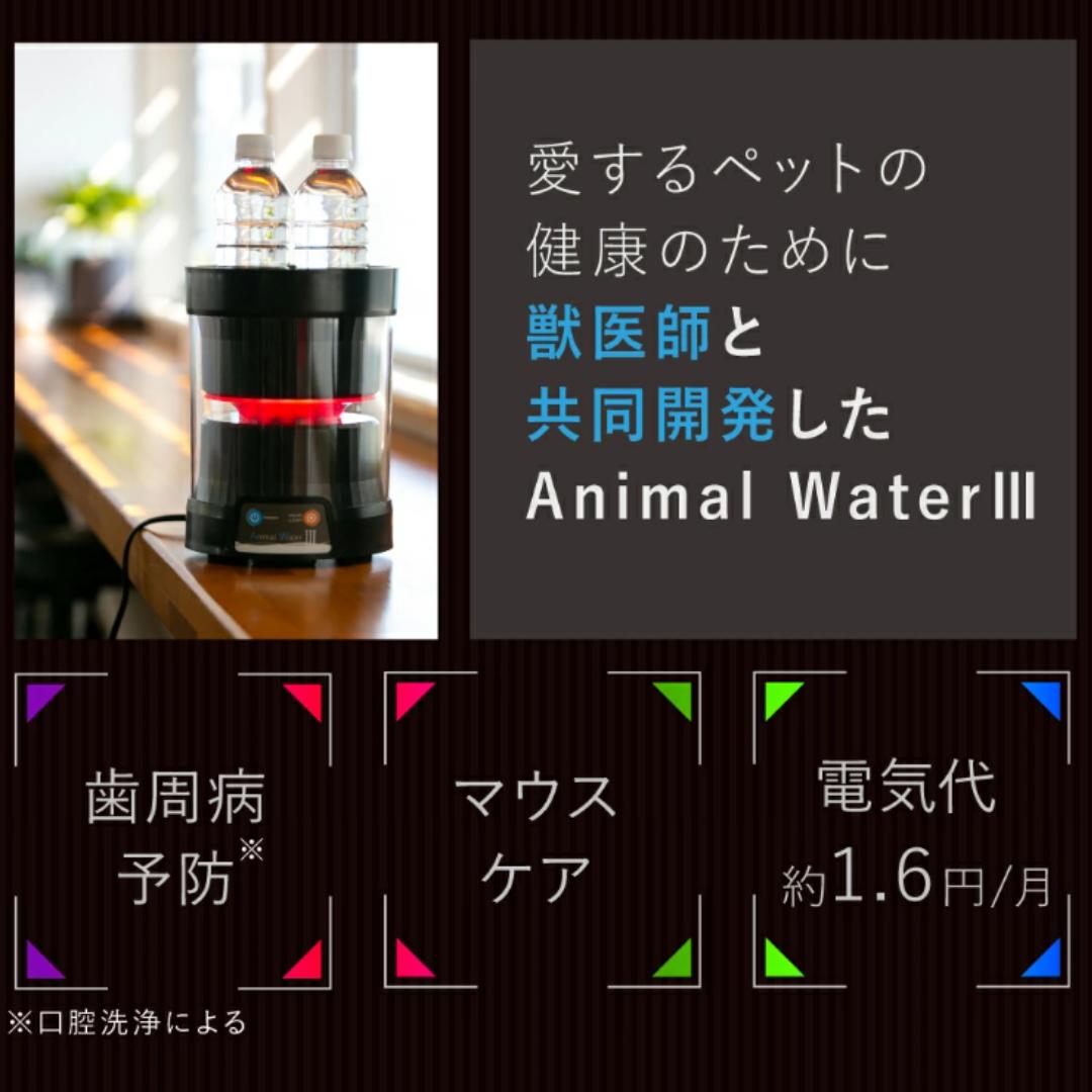 楽天市場】【今だけ3000円OFFクーポン+P4倍】 ペット 口腔洗浄水生成器