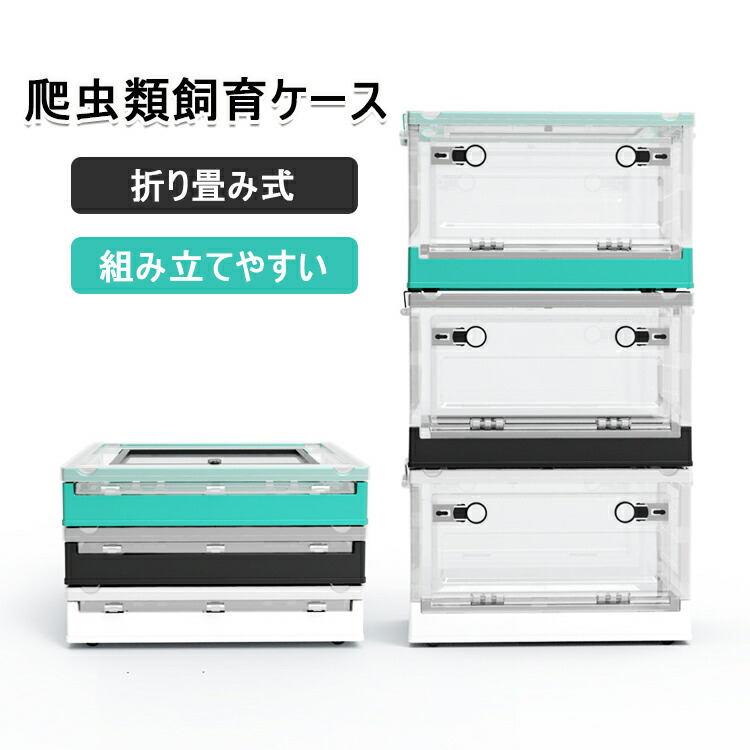楽天市場】爬虫類 ケージ 小型の通販