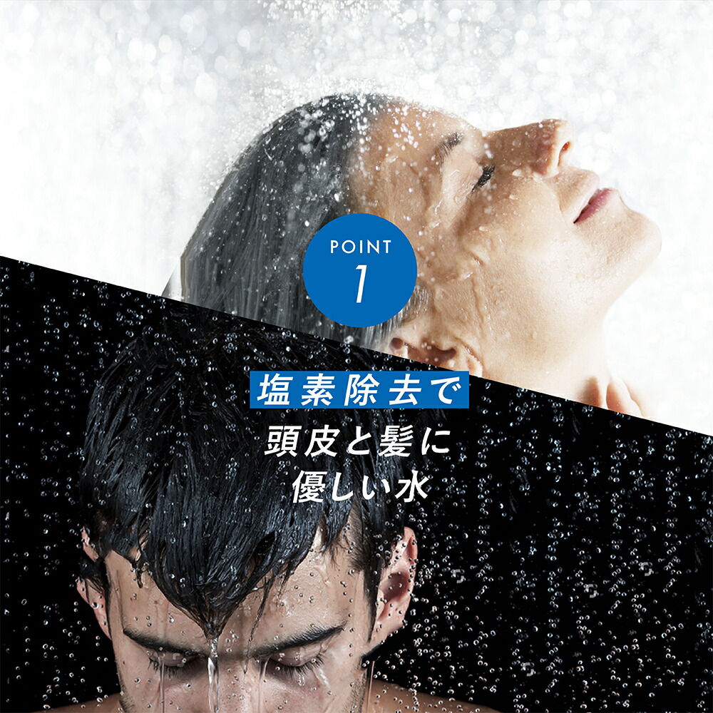 楽天市場】【シャワーヘッド】D-ヘッドスパ（浄水カートリッジ2本付き