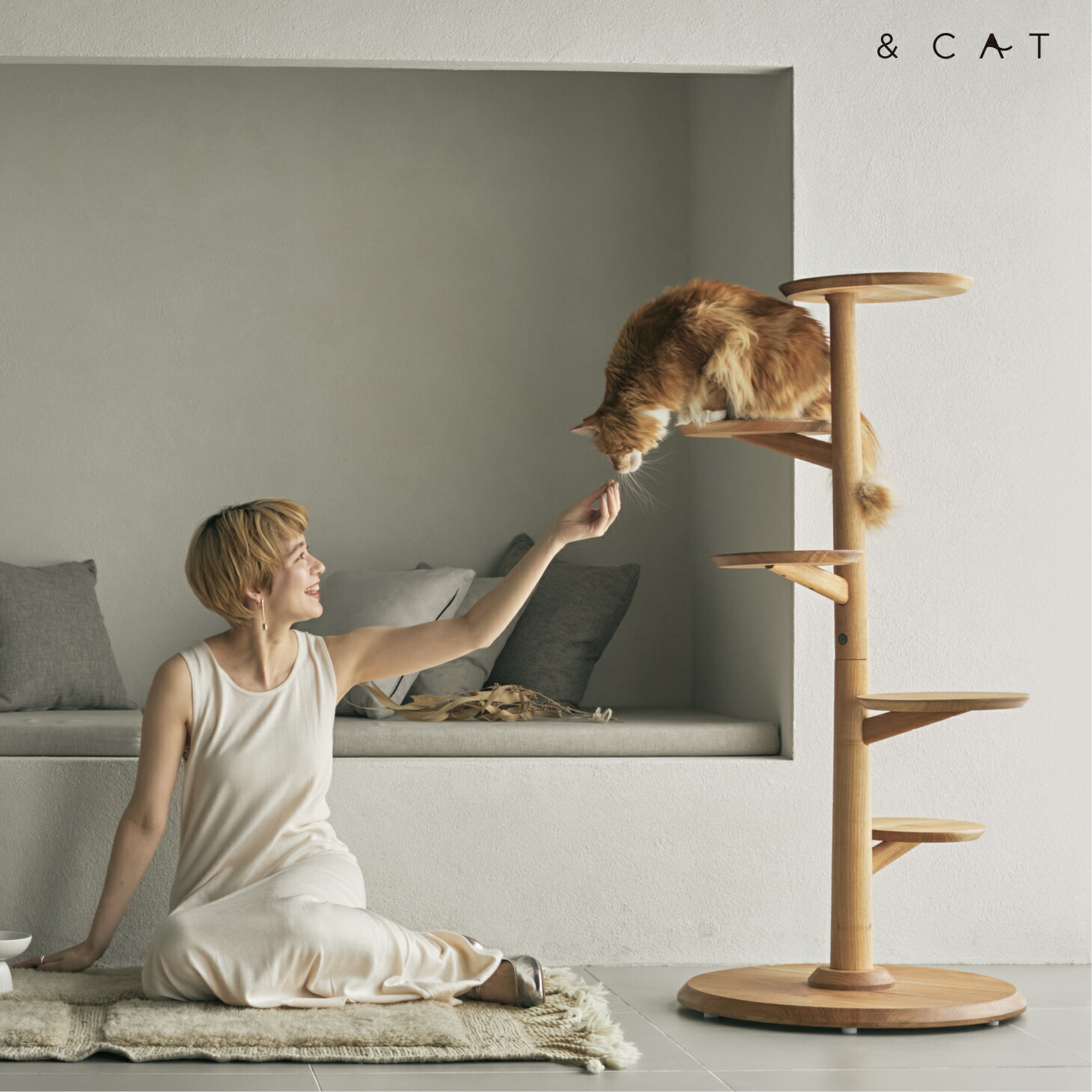 楽天市場】【SNSで話題の猫用品!!】猫 キャットタワー 木製 猫用品