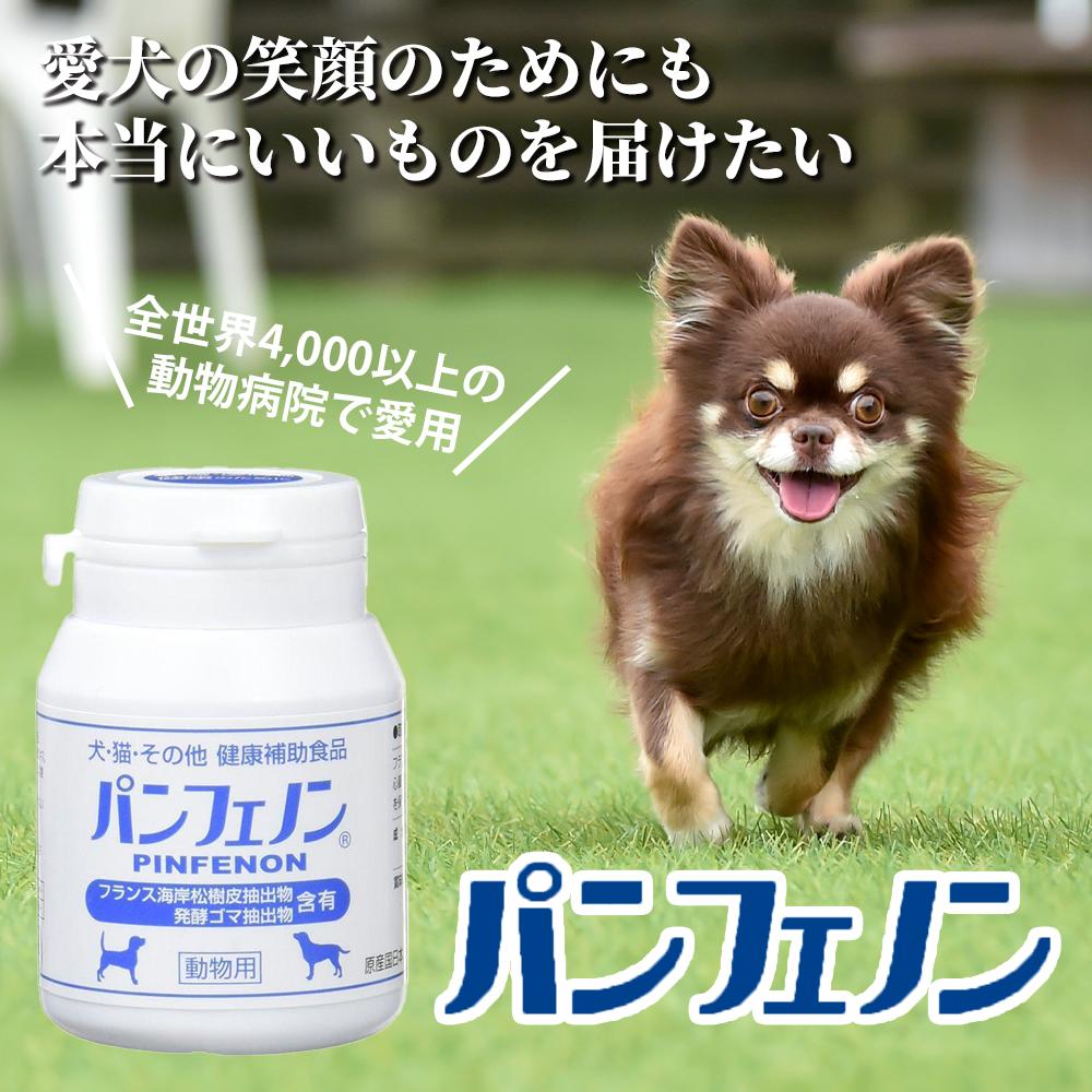 楽天市場】【1000円OFFクーポン付き】パンフェノン 動物用健康補助食品