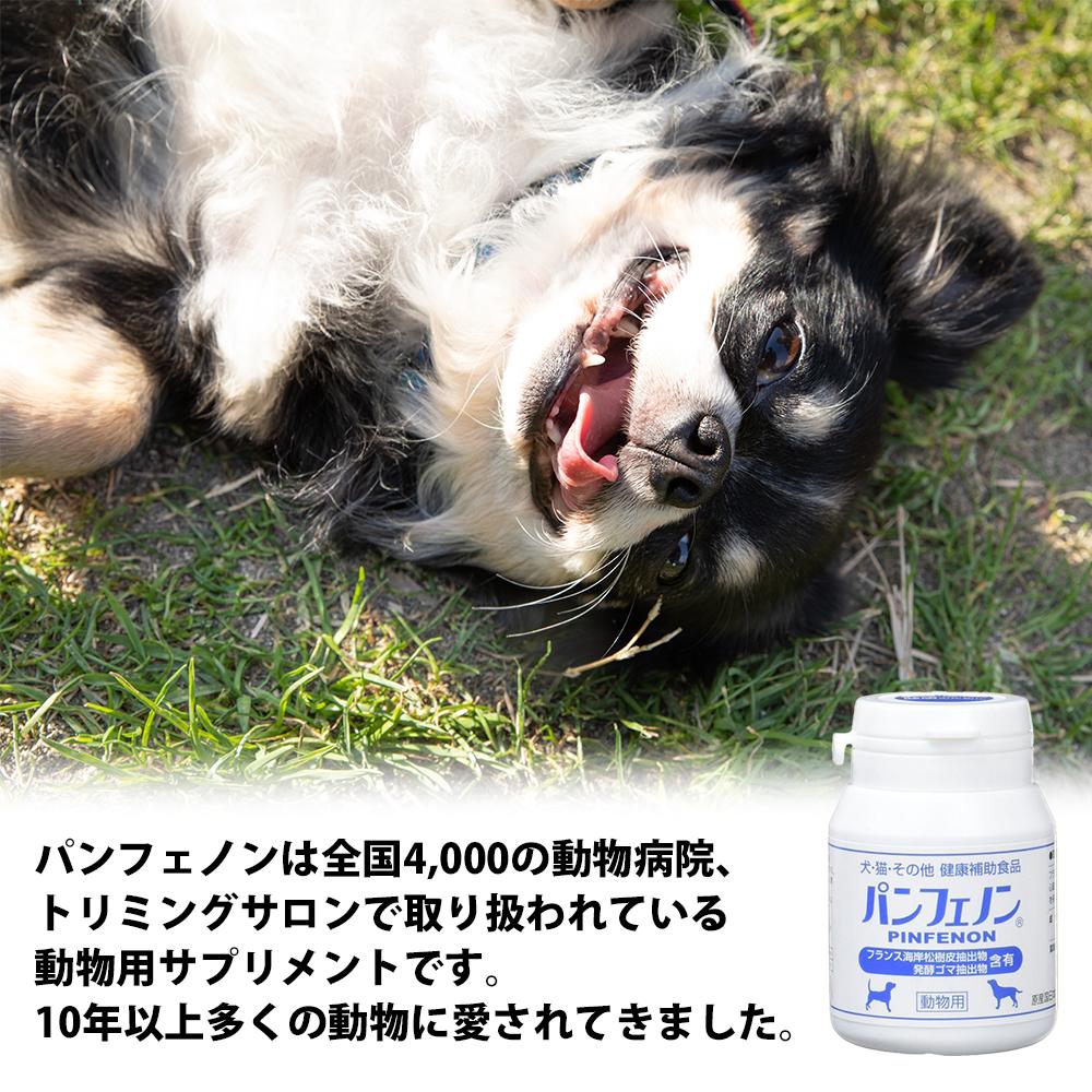 楽天市場】【1000円OFFクーポン付き】パンフェノン 動物用健康補助食品