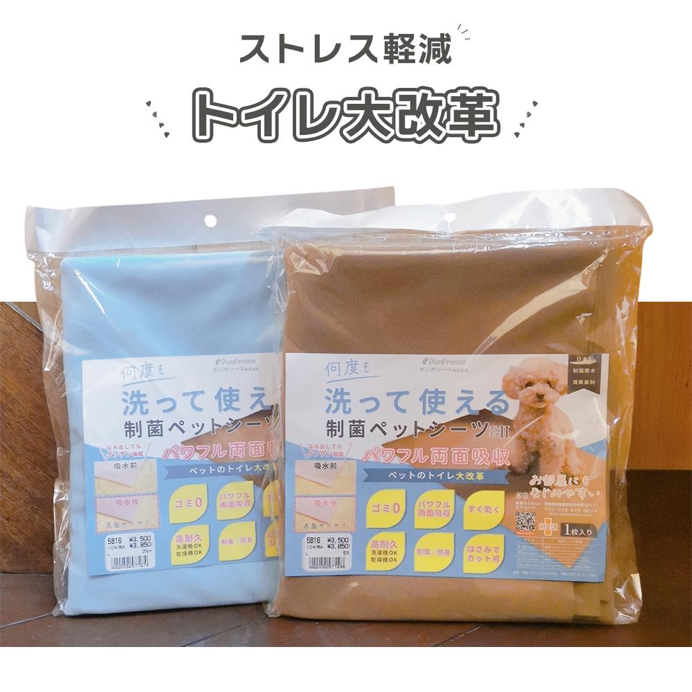 制菌ペットシーツ L ×3枚（カラーはお任せ）1枚¥3350 【公式通販】