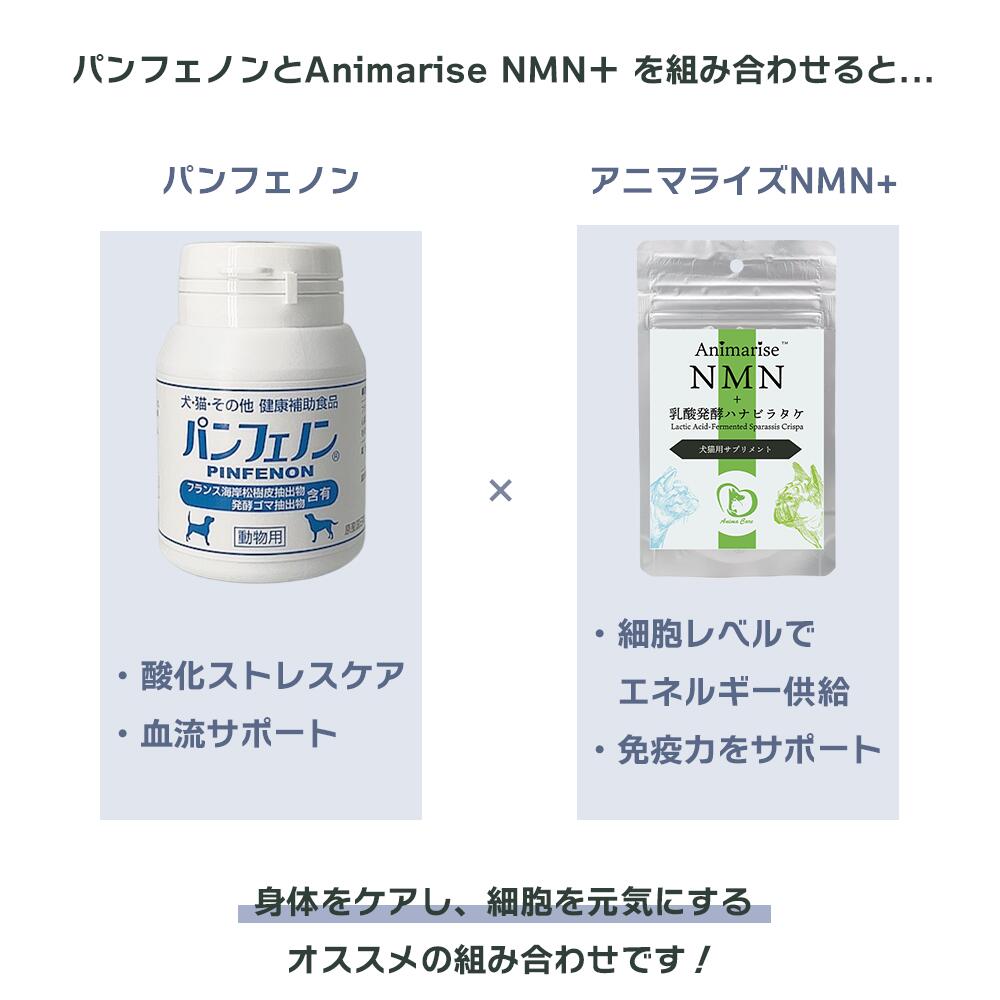 楽天市場】【1000円OFFクーポン付き】パンフェノン 動物用健康補助食品