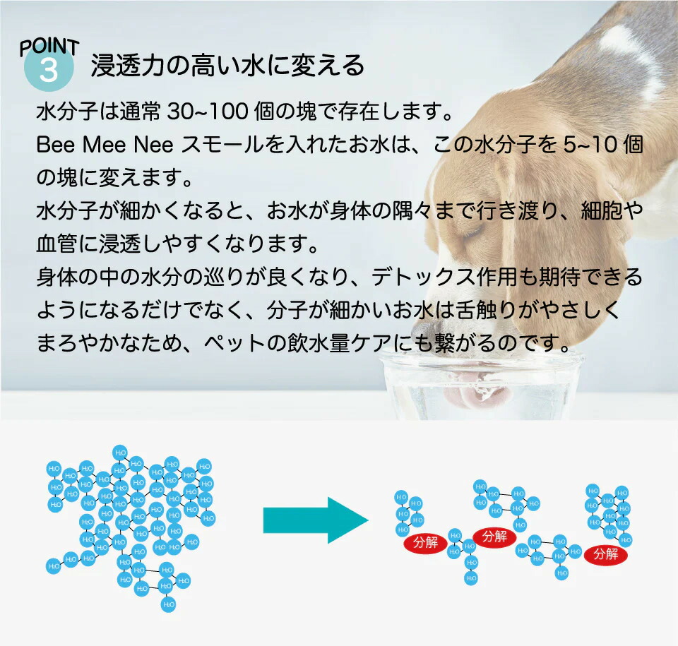 楽天市場】ビーミーニー 飲料水改質触媒 ビッグ dog BeeMeeNee 水質