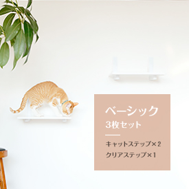 楽天市場】【animacolle キャットステップ白2枚・透明1枚セット】 公式