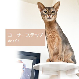 楽天市場】【animacolle コーナーステップ 白】 公式 送料無料