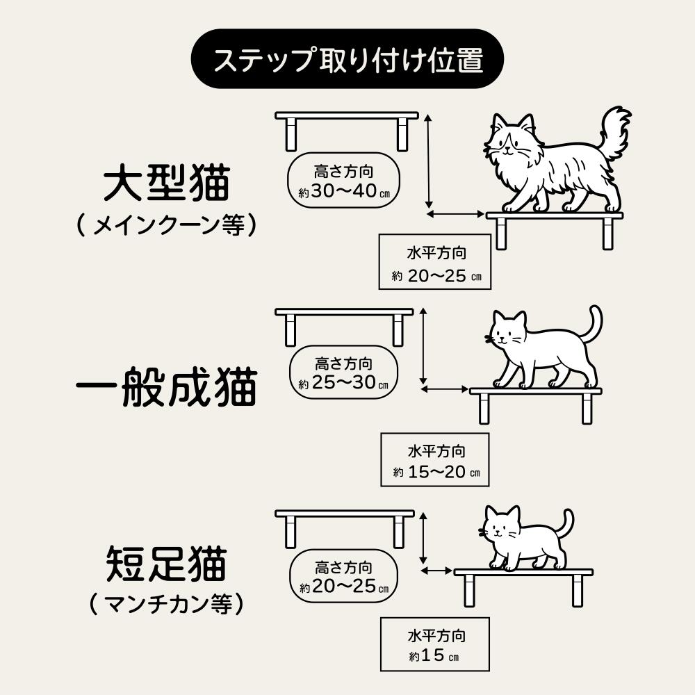 楽天市場】【animacolle キャットステップ白2枚・透明1枚セット】 公式