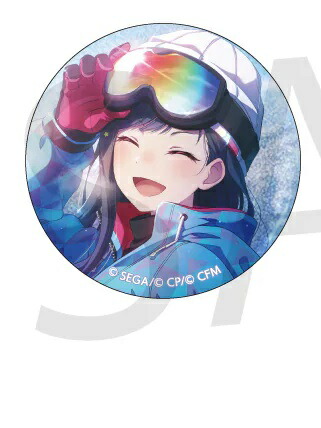 あんスタ コレクション 缶バッジ 白鳥藍良27個