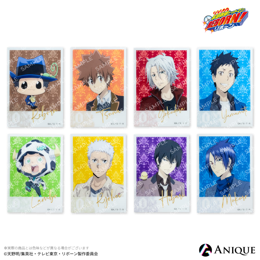 未来編 箔押し セット CCG リボーン REBORN