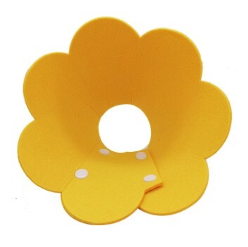 楽天市場】【ランキング入賞品】エリザベスカラー 猫 犬 カラー ソフト