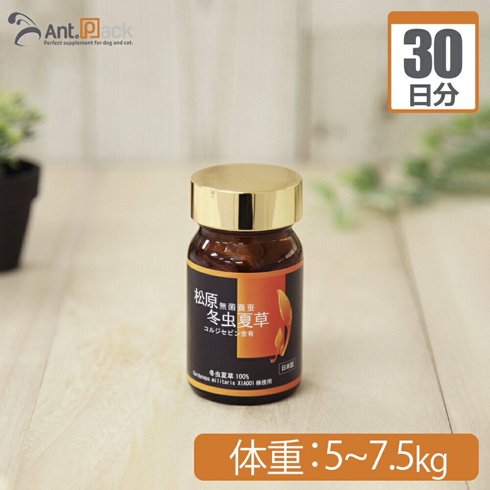 楽天市場】【送料無料】松原 無菌養蚕 冬虫夏草 犬猫用 体重5kg〜7.5kg