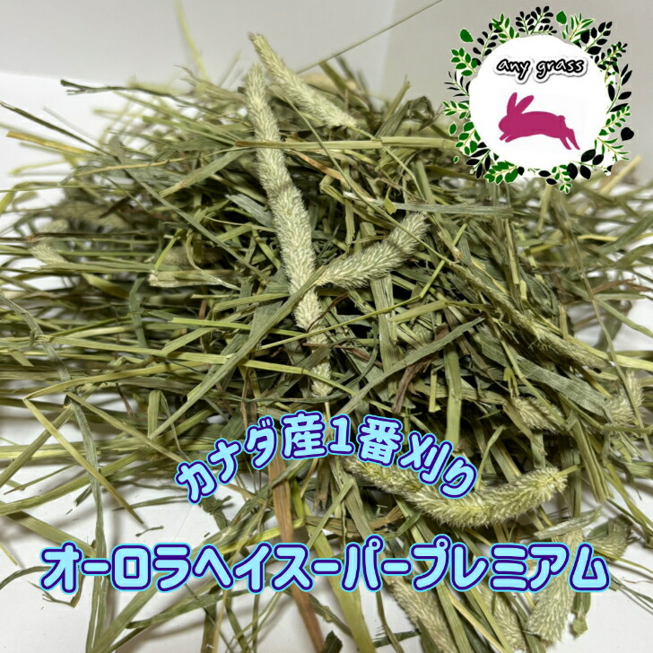 1/26まで) カナダ産 チモシー 30kg スーパープレミアム 1番刈 12/31