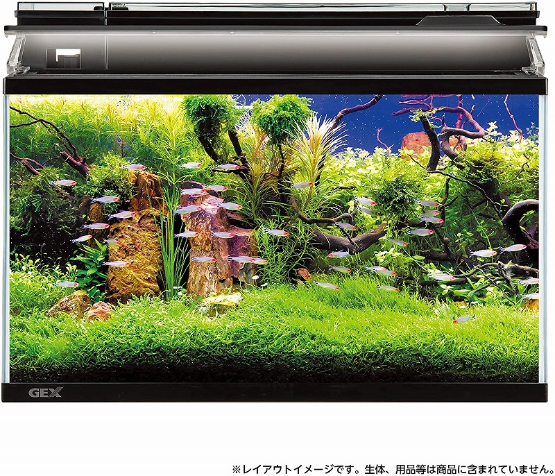 楽天市場】GEX マリーナ幅60cm水槽 MR600BKST-Nガラス水槽 : Aquarium