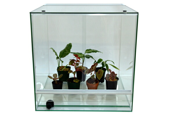 直接引取】中古品RainForest パルダリウムケージプロ PCP3045 直接引取