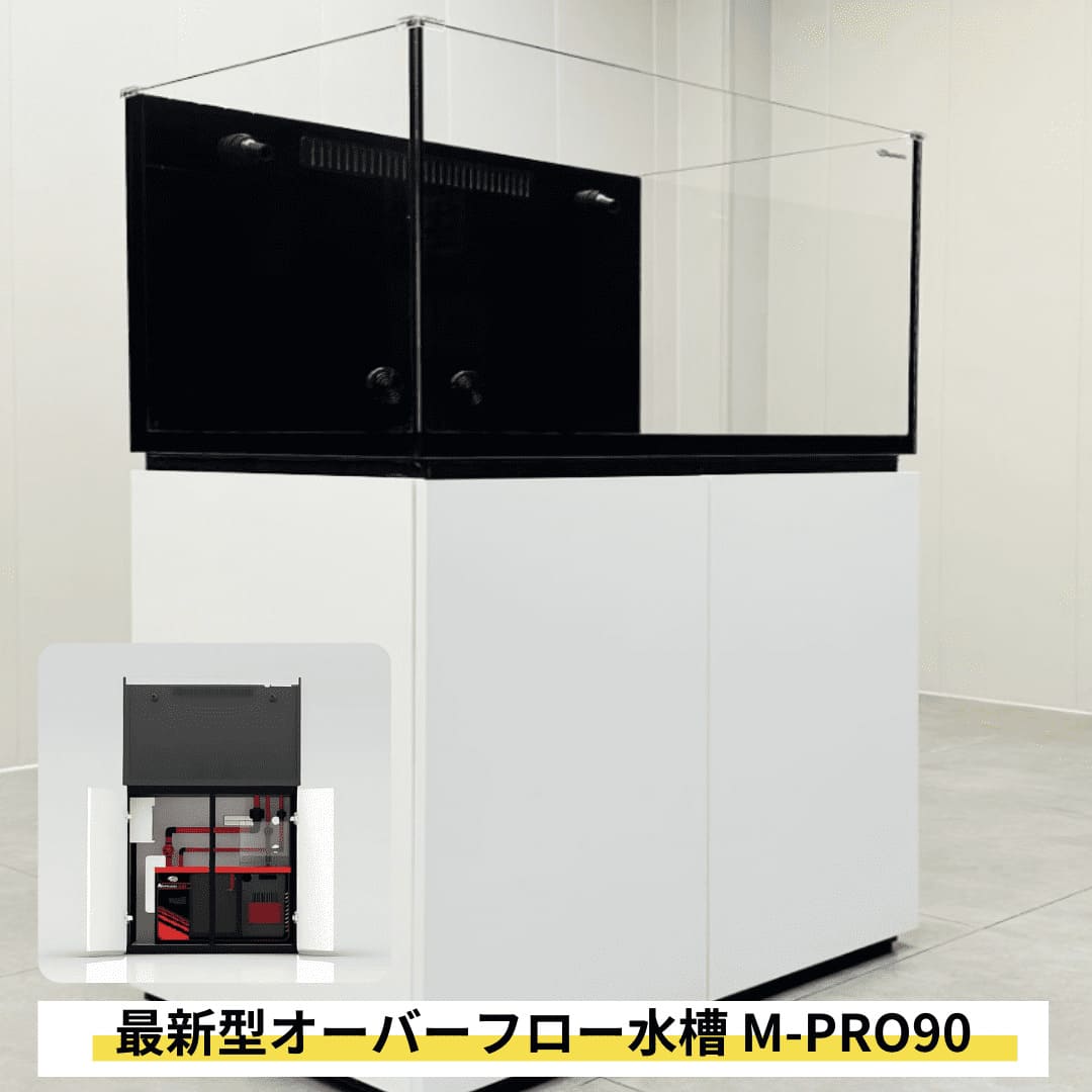 一台限定900x450x450㎜オールガラスオーバーフロー水槽 セット