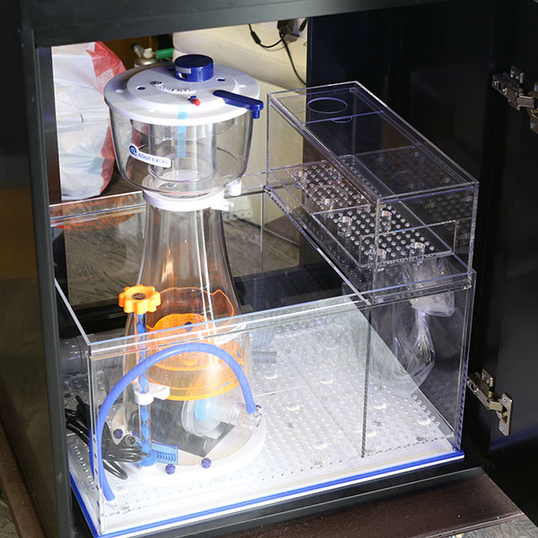 楽天市場】【店頭引渡】オルカT60 オーバーフロー水槽 コンプリート