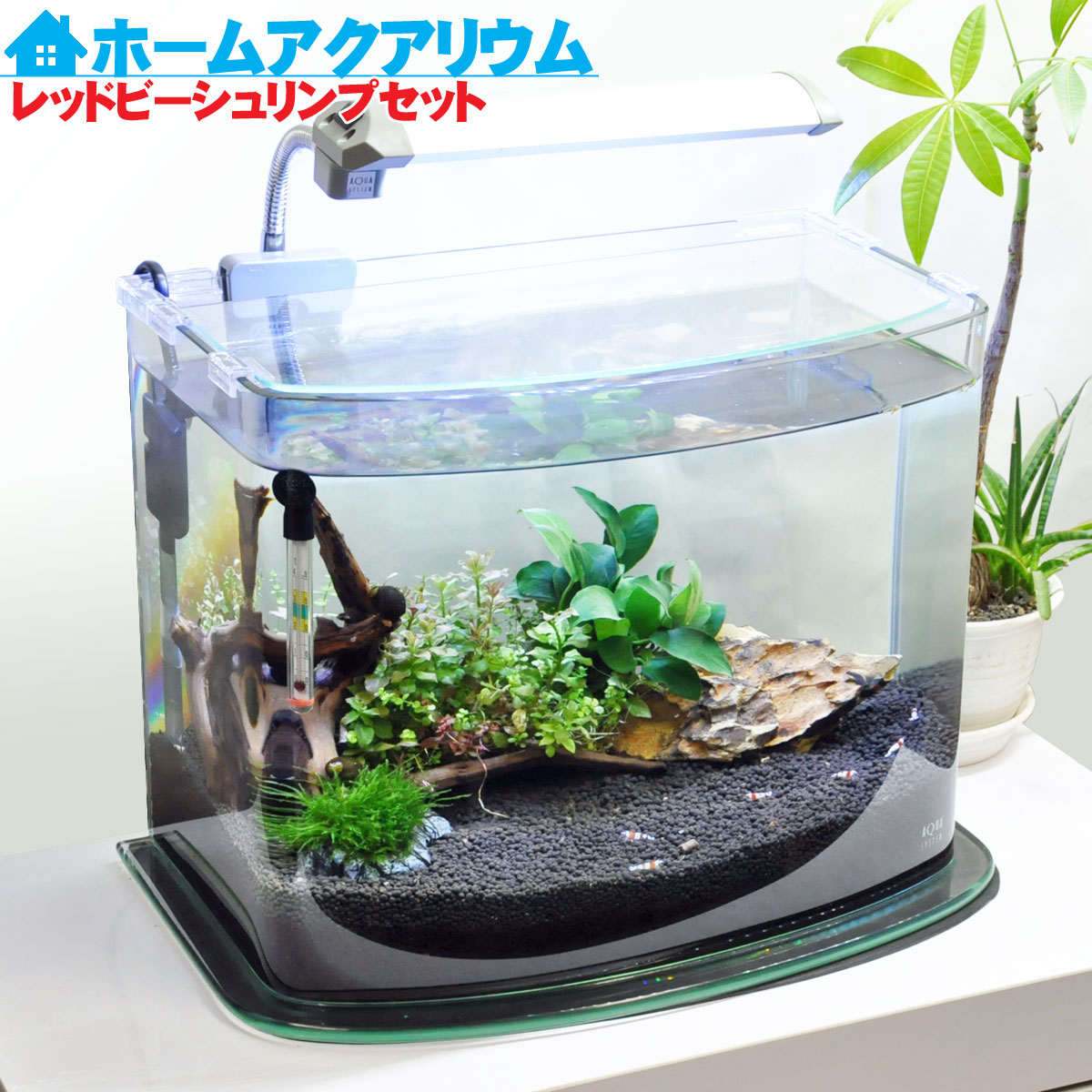 楽天市場】水槽 36cm ホームアクアリウムオールセット【40×24×29cm 18L