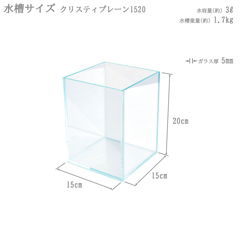 楽天市場】水槽 15cm ガラス水槽【15×15×20cm 3L】クリスティプレーン