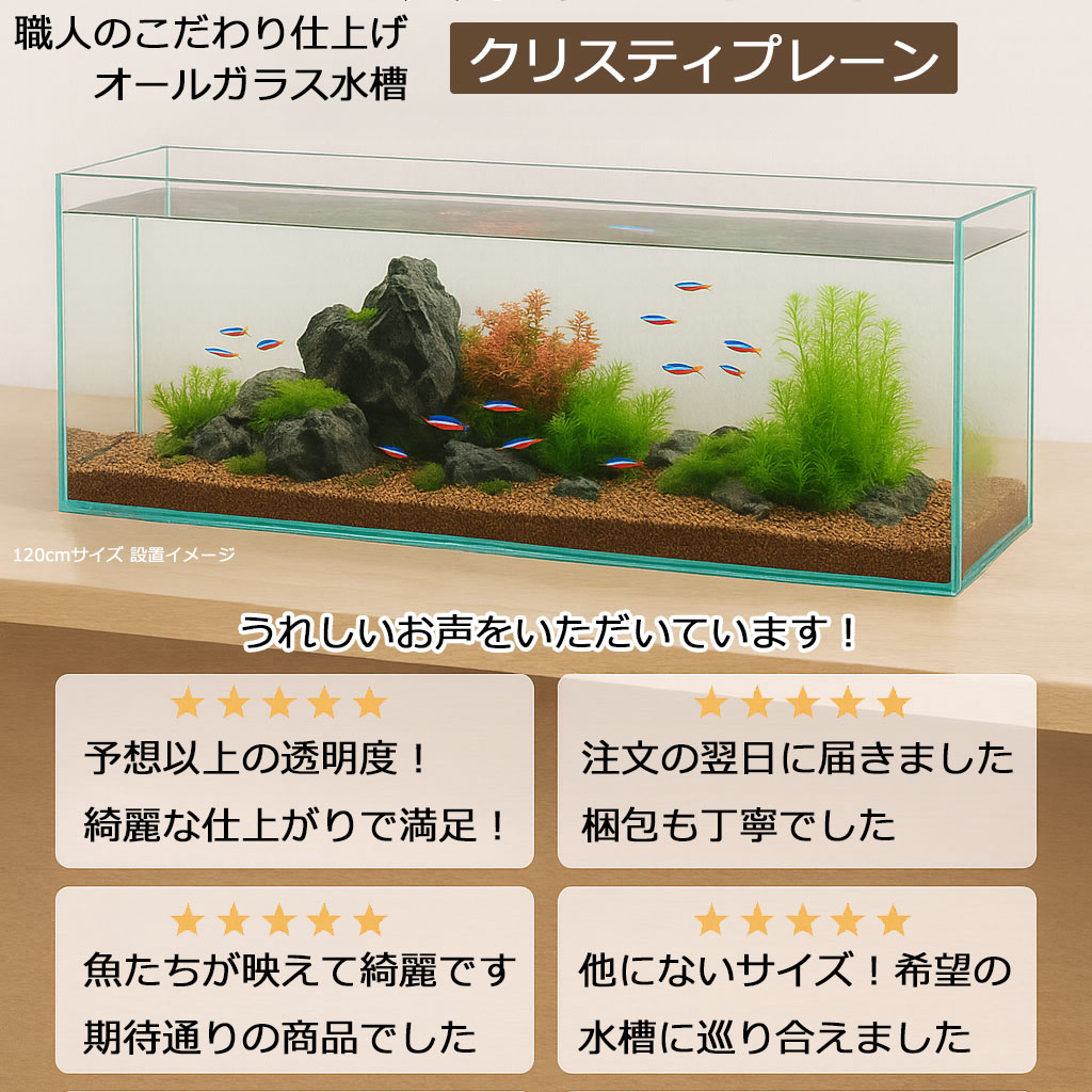 楽天市場】水槽 75cm ガラス水槽【75×30×40cm 81L】クリスティプレーン