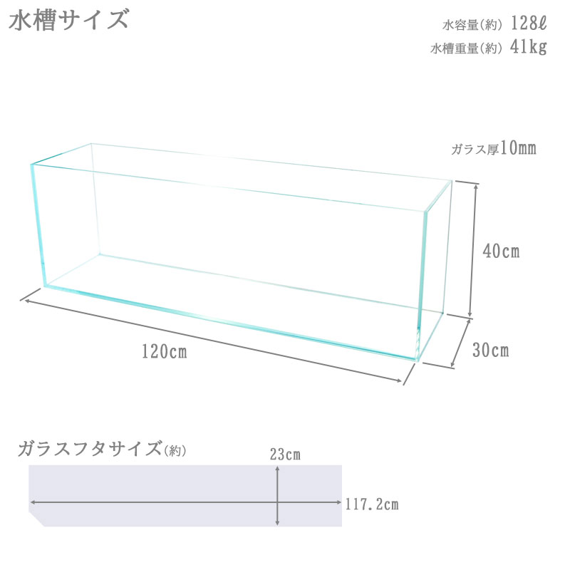 楽天市場】水槽 120cm ガラス水槽【120×30×40cm 128L】クリスティ