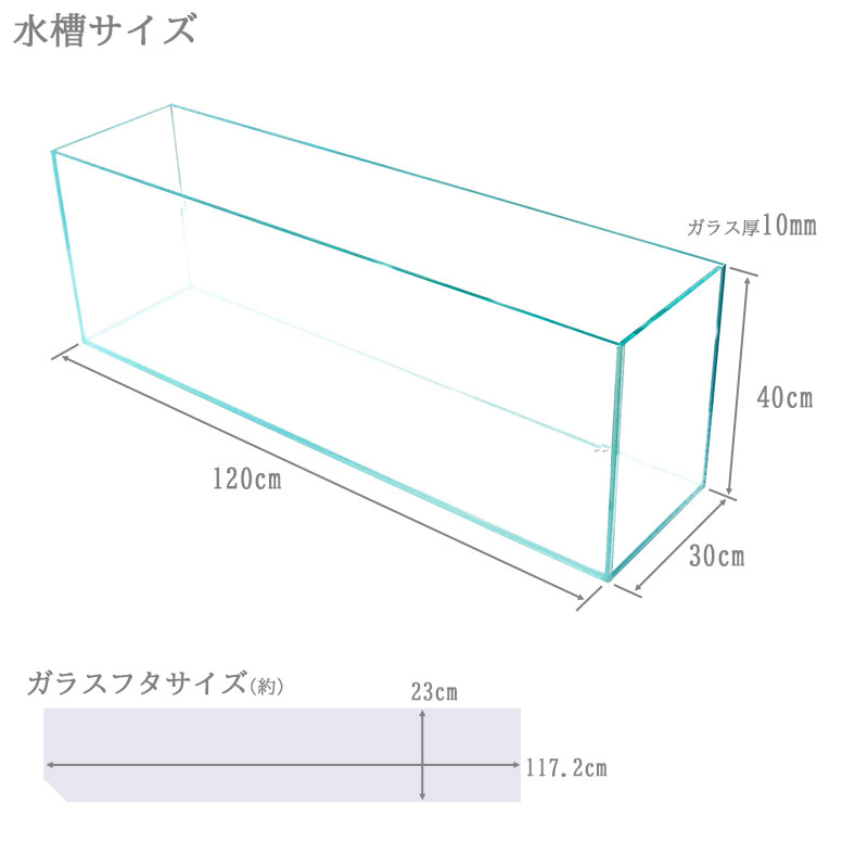 楽天市場】水槽 120cm ガラス水槽【120×30×40cm 130L】クリスティ120S