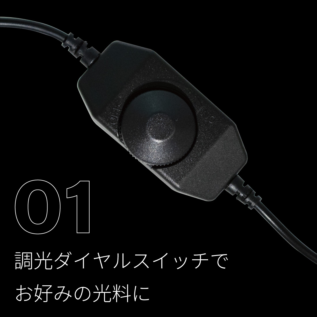 楽天市場】esAqua 水槽 バック スクリーン (30×30) LEDライト PSE認証