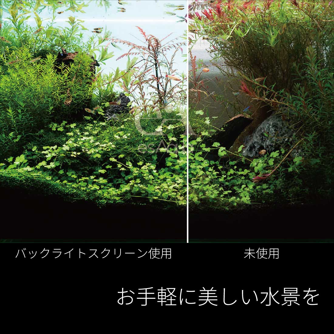 新品未使用ライトスクリーンアクアリウムLED RGB 60cm×45cm