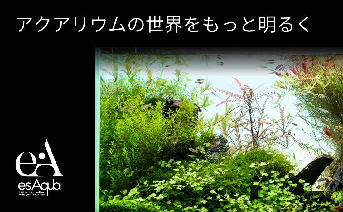 楽天市場】esAqua 水槽 バック スクリーン LEDライト PSE認証 メーカー