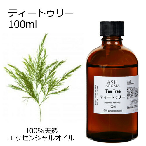 楽天市場】アーリータイムズ ミント ジュレップ 30度 1000ml【並行輸入
