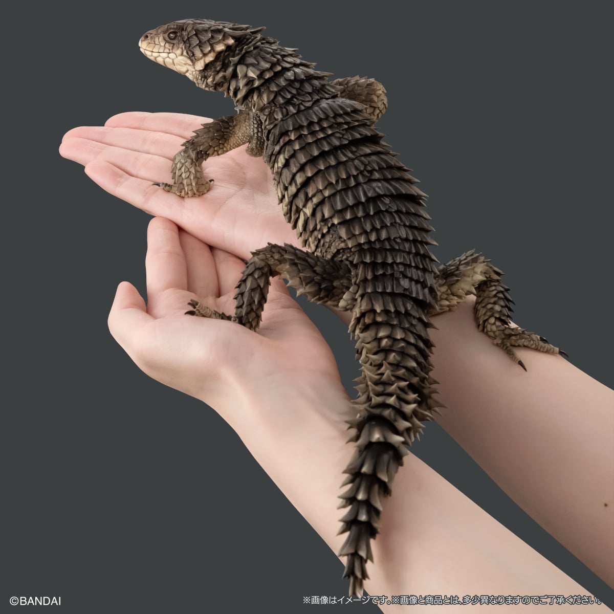 楽天市場】いきもの大図鑑アルティメット 【オオヨロイトカゲ】 : A