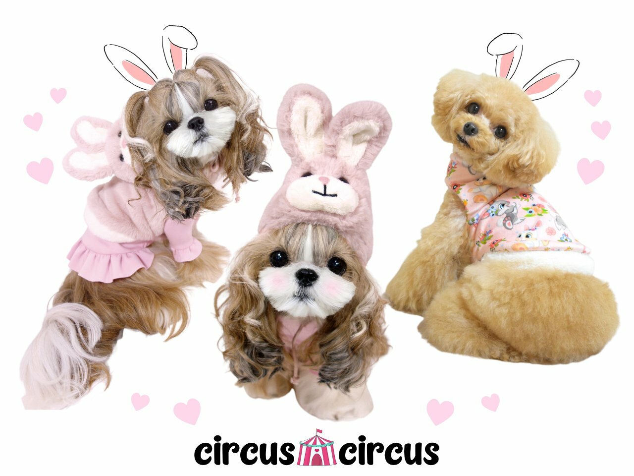 楽天市場】circuscircus サーカスサーカス Toy Bunny reversible coat