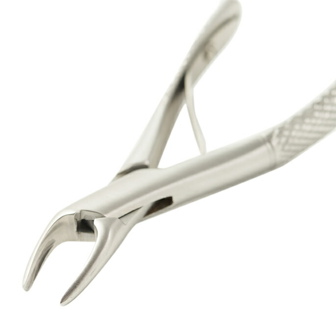 楽天市場】帝塚山ハウンドカム 歯石取りペンチ 犬用 猫用 ステンレス