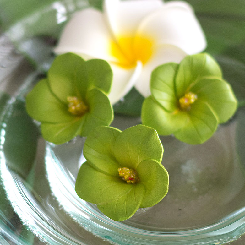 ビンテージ ハワイ 壁飾り リアル ハワイアン フラワー リーブス （お