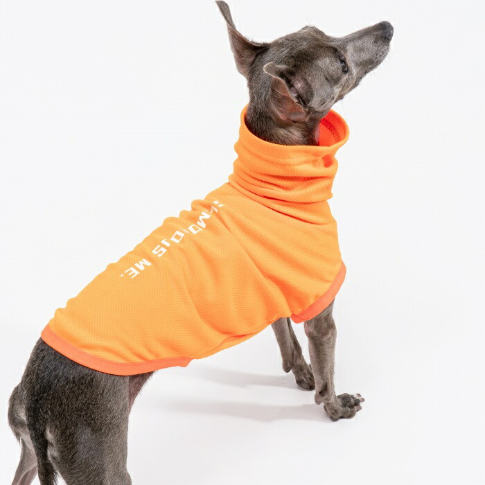 蛍光ピンクメッシュのタンクトップイタグレ服犬服ハンドメイド