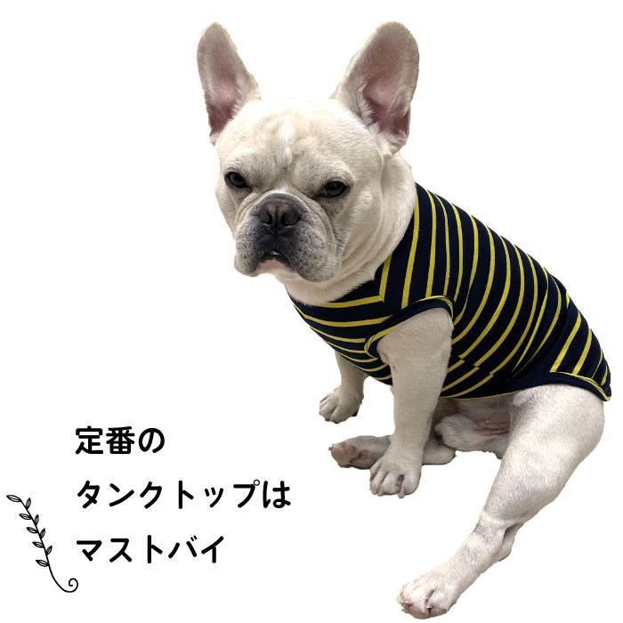 楽天市場】犬 タンクトップ お買い物マラソン 1000円ぽっきり 送料無料