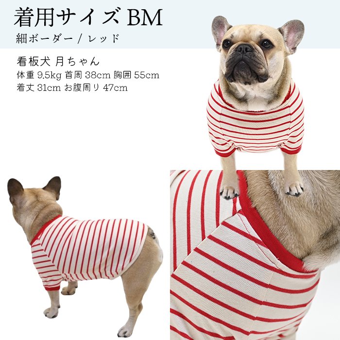 楽天市場】犬服 フレンチブルドッグ 犬 ボーダーTシャツ 綿100