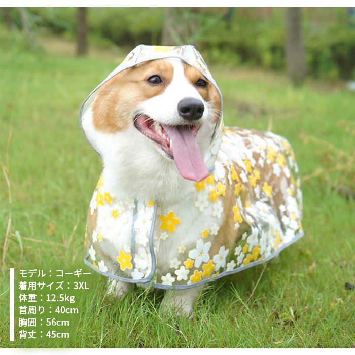 蝶と犬 蝶と犬 蝶と犬 カード検索 ｜ Z/X - Zillions of enemy X