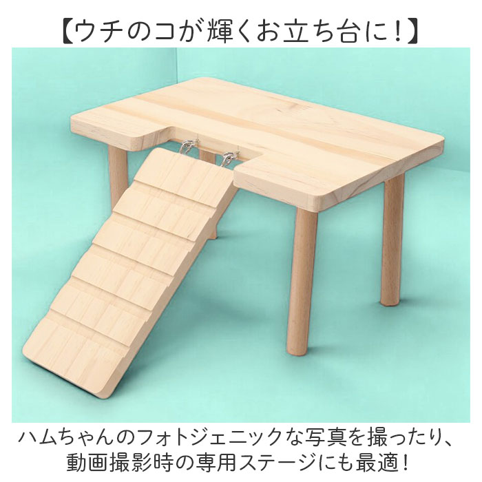 楽天市場】ハムスター ロフト 通販 二階建てはしご ハムスターロフト