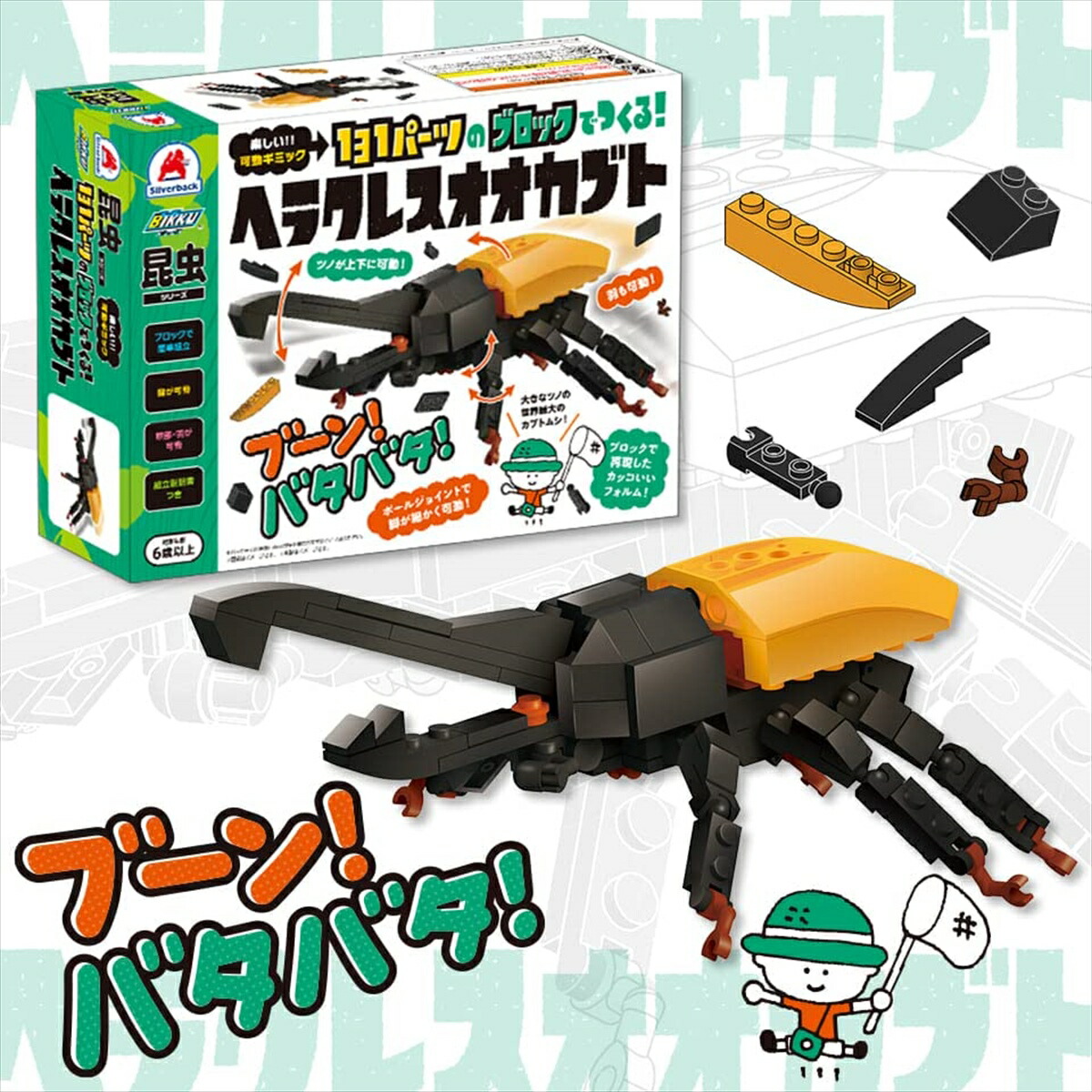 昆虫標本セット（4体） ヘラクレスオオカブト マンデイブラリス