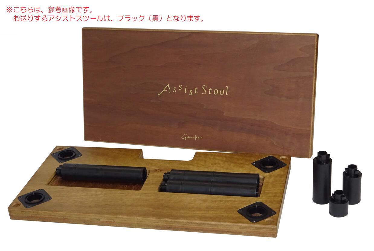 吉澤アシストスツール、アシストペダル、キャリングバックの3点セット