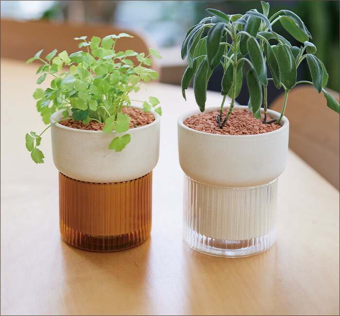 楽天市場】【管理が簡単】ボタニカルソーク N 底面給水ポット ≪植木鉢