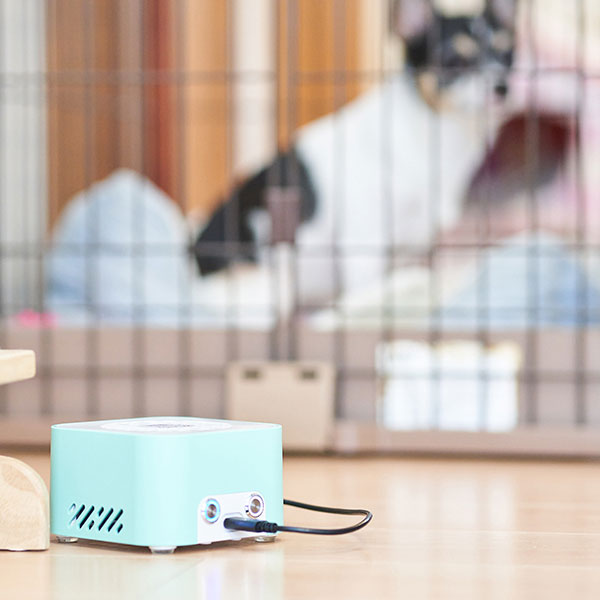 楽天市場】持ち運びできる空気清浄機 コロスケプチ KOROSUKE Petit